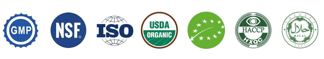 Chine Fabricant sans pesticides Ginsénosides solubles dans l'eau 5-80% HPLC Extrait de racine de ginseng Organique Panax Extrait de ginseng en poudre 1