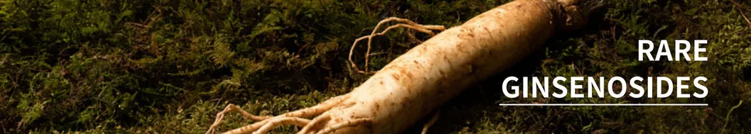 Chine Fabricant sans pesticides Ginsénosides solubles dans l'eau 5-80% HPLC Extrait de racine de ginseng Organique Panax Extrait de ginseng en poudre 0