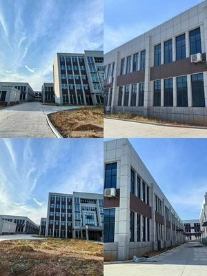 Chicken Flavor Soup Concentrate Main Composition Flavour KMZ-219005