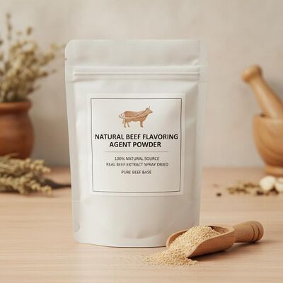 Natural Beef Flavoring Agent Powder 100% Natural Source Real Beef Extract Spray Dried Pure Beef Base